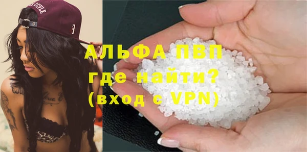 шишки Беломорск
