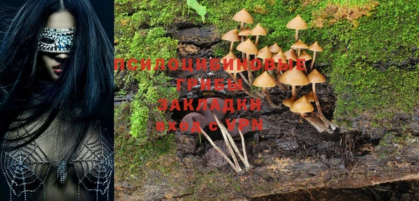шишки Беломорск