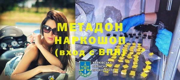шишки Беломорск