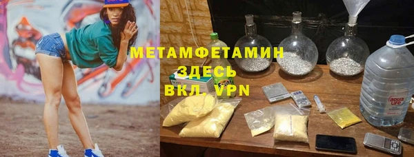 шишки Беломорск