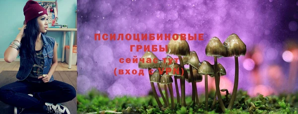 шишки Беломорск