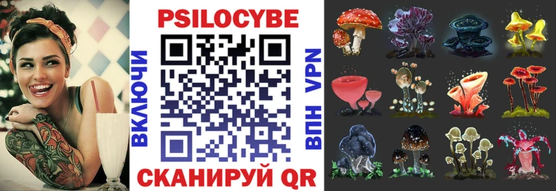 Псилоцибиновые грибы Cubensis  кракен рабочий сайт  Октябрьский 